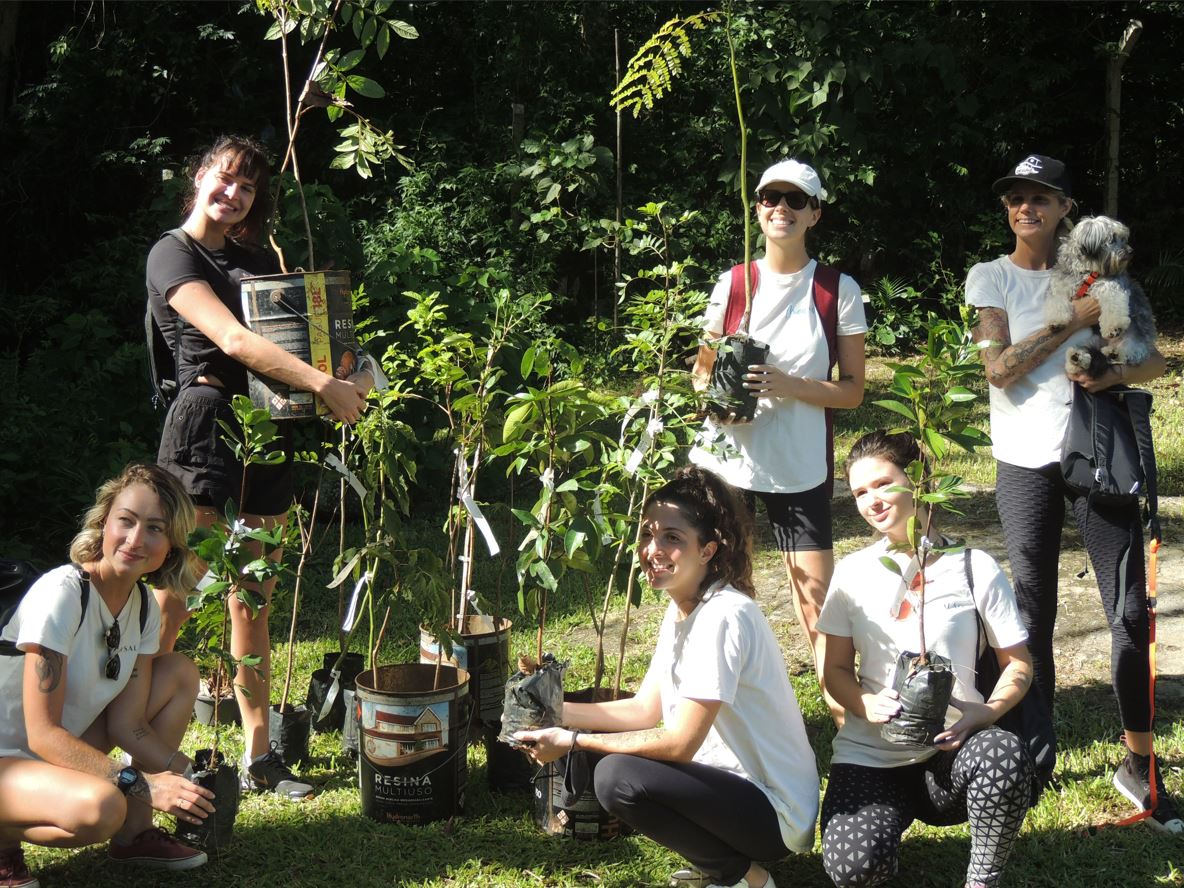 carbon free brasil