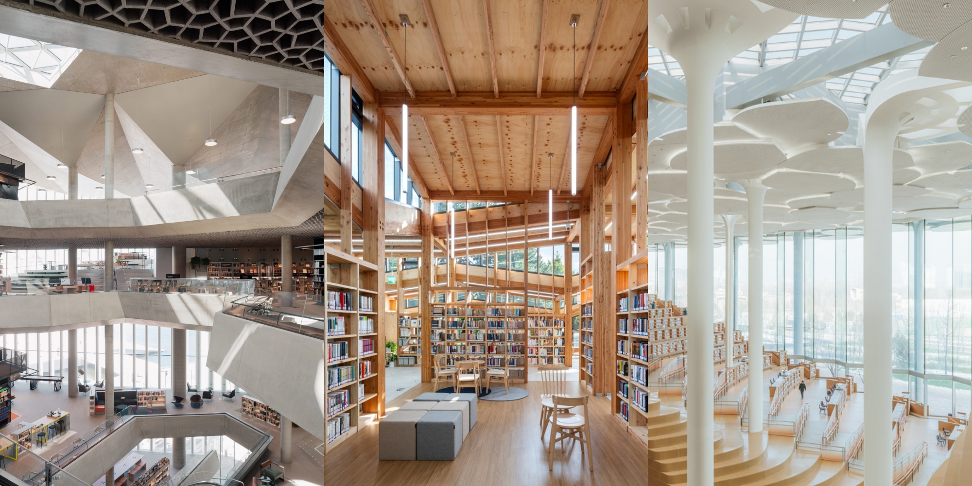 12 bibliotecas com arquitetura impressionante pelo mundo