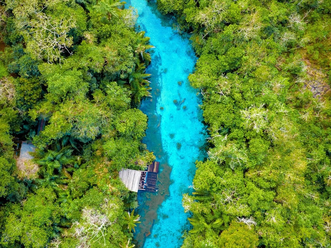 Ecoturismo