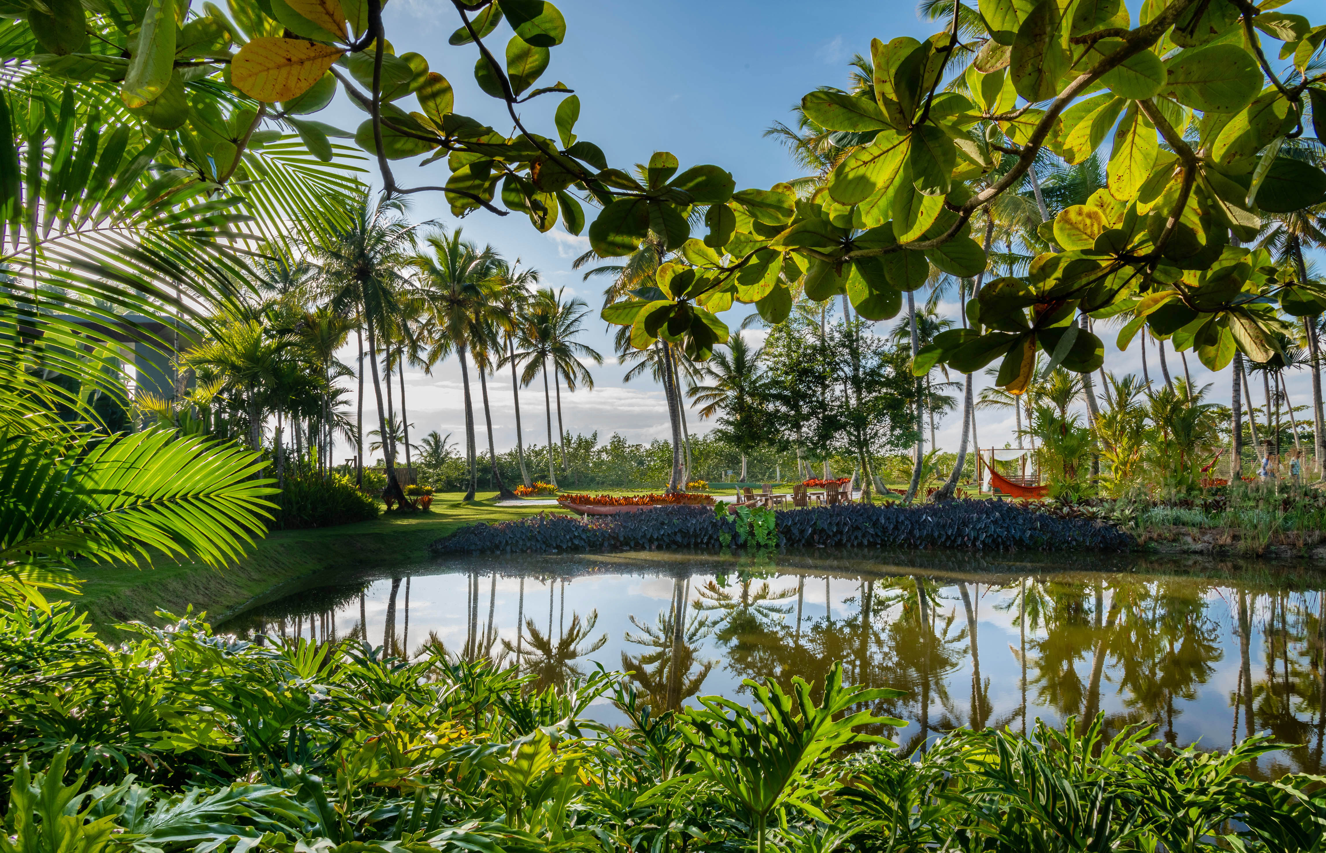 Jardim de 6 mil m² ganha paisagismo repleto de espécies da Mata Atlântica. Projeto de Flávia D'Urso, Na foto, jardim e lago.