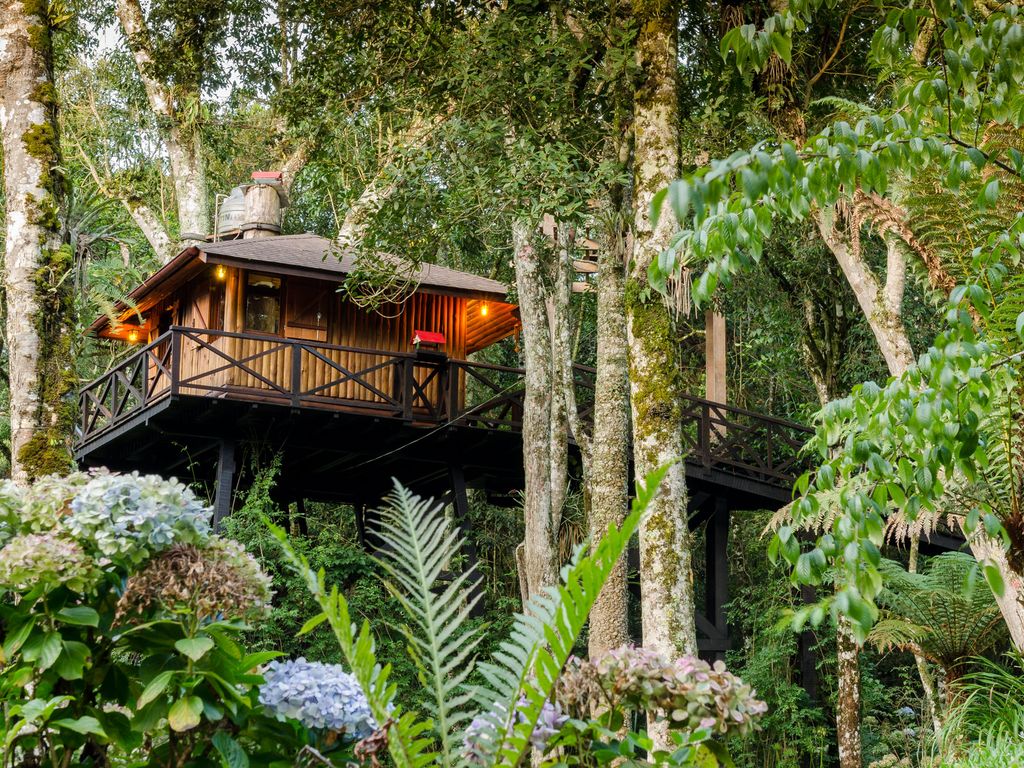 Hotel em árvore no Brasil