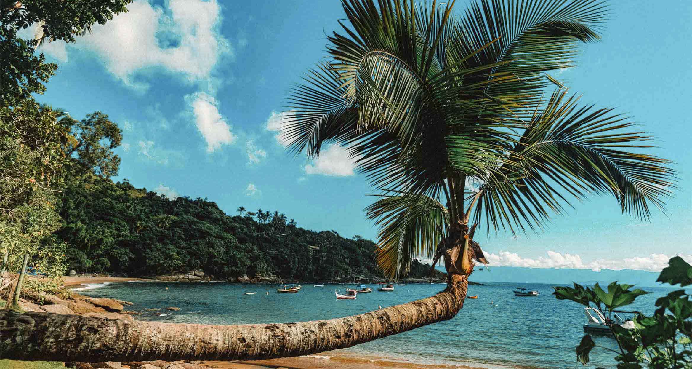 Com tanta diversidade e beleza, o litoral paulista é um destino imperdível para quem ama o mar e quer descobrir cenários paradisíacos sem sair do estado.