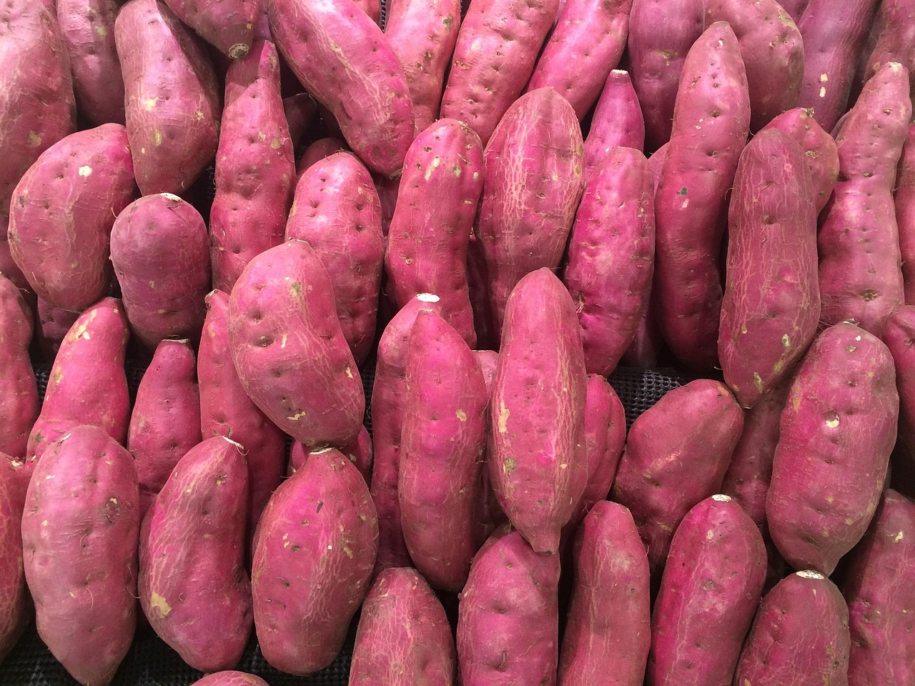 Batata-doce