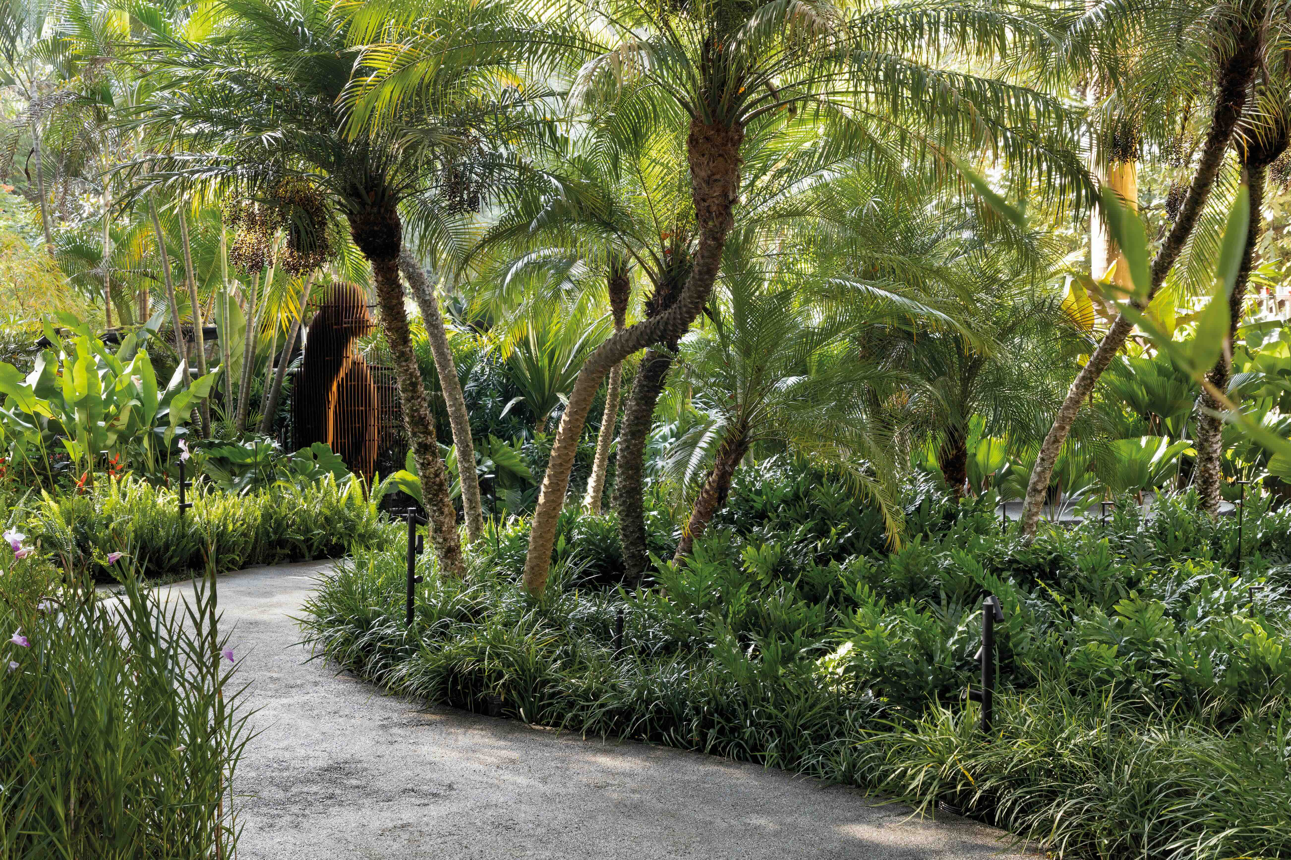 Elkis+ Paisagismo - Jardim Tropical. Projeto da CASACOR São Paulo 2025.