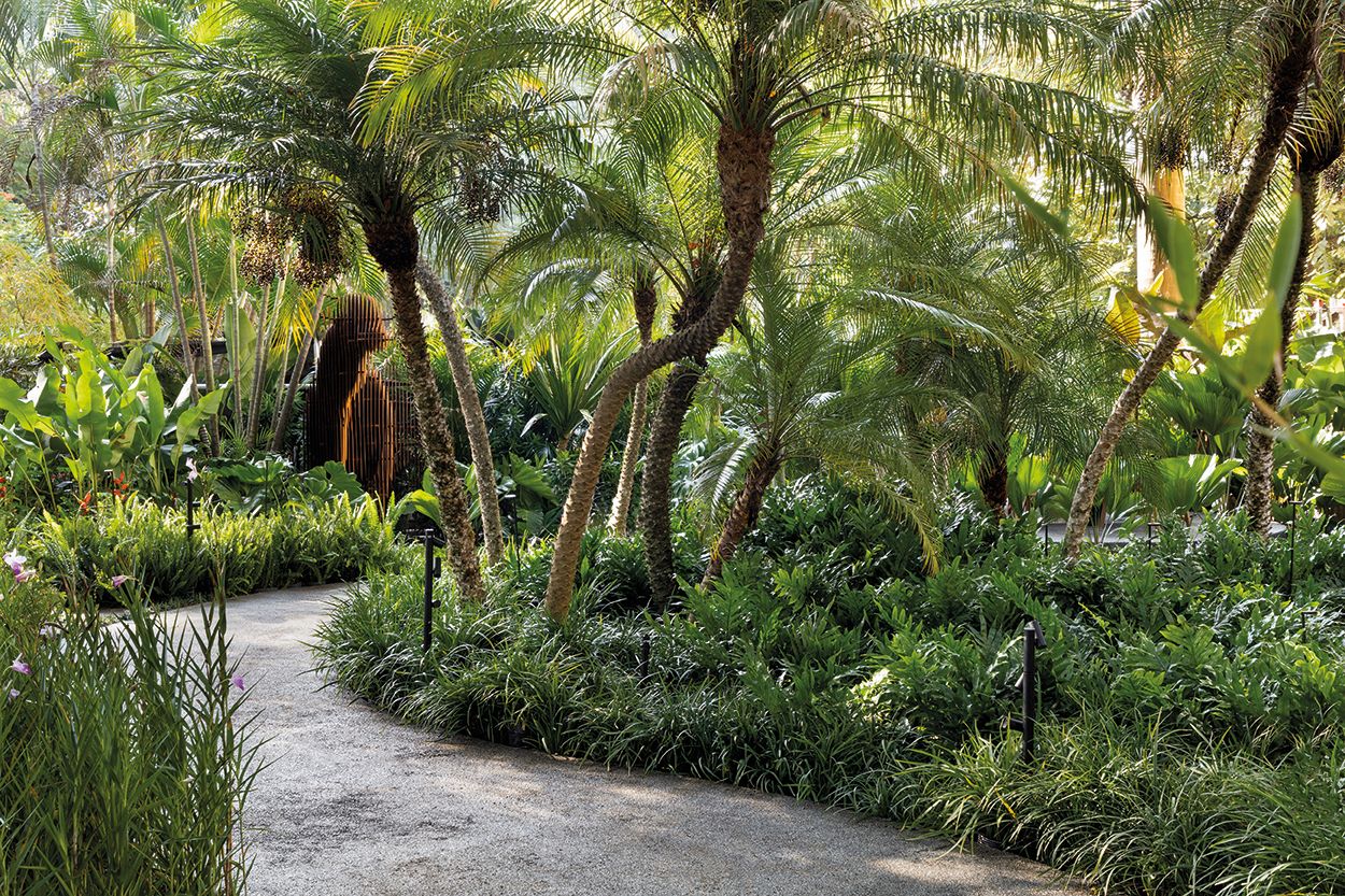 Elkis+ Paisagismo - Jardim Tropical. Projeto da CASACOR São Paulo 2025.