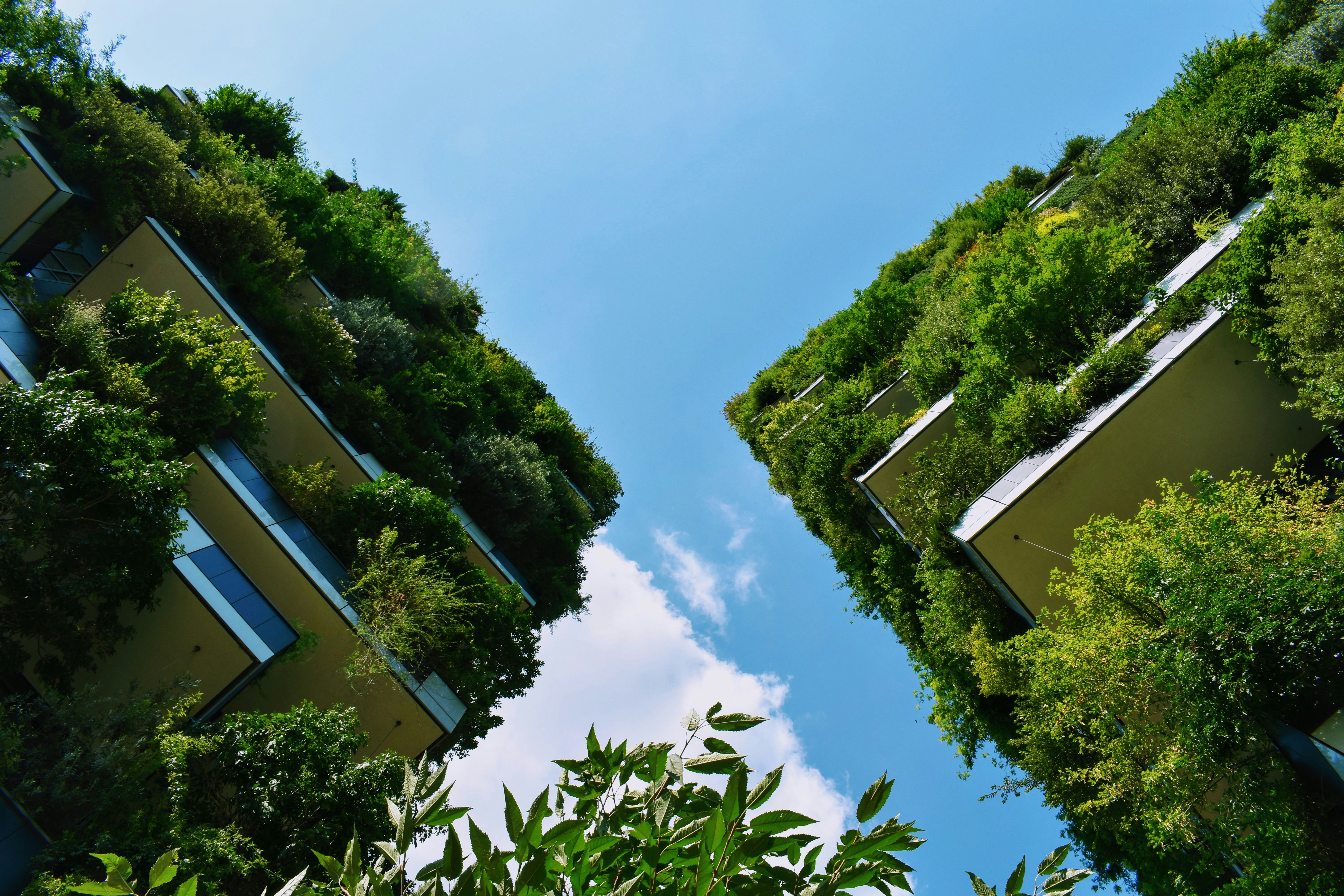 Arquitetura regenerativa - Construções Verdes