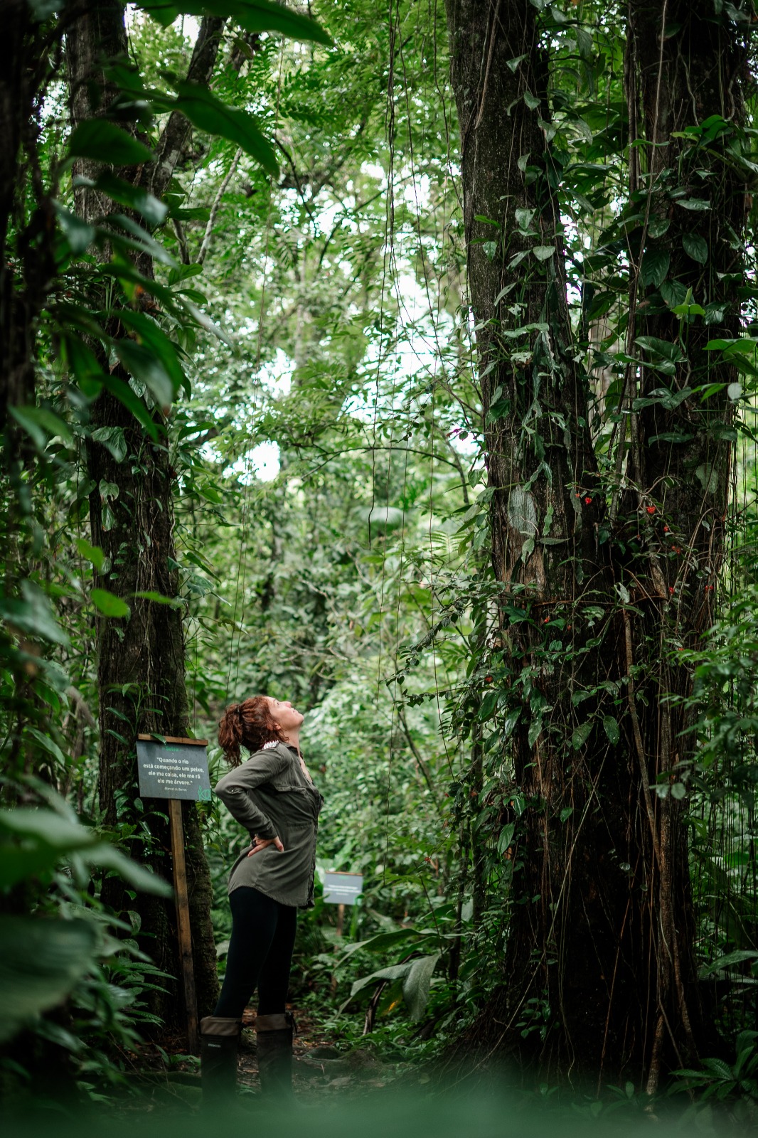 RPPNs: por que elas são importantes para a conservação da biodiversidade brasileira